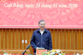 越共中央总书记苏林发表讲话 图自越通社
