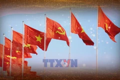 弘扬越南智慧与本领 在新发展时代稳步阔步前行