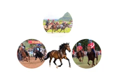 越南一些传统节日和赛马节