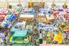 春季博览会之越南年货新叙事