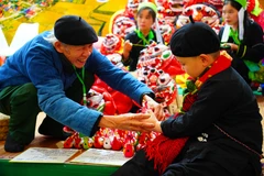 2026年春季博览会：汇聚越南各民族传统文化之美