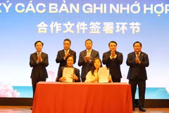 越中拓展投资与旅游合作新机遇
