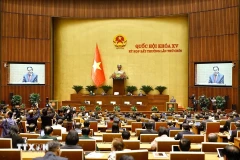 调整精简后的2021-2026 年任期越南政府机构