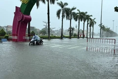 第3号台风席卷多地：多栋房屋被掀顶、树木倒塌、损失严重