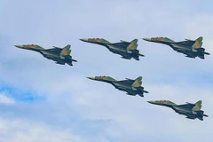人民空军各型飞机编队在河内上空隆重亮相