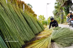 安江边境居民巧用蒲草制作手工艺品