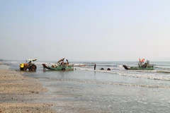 乂安省渔民迎来花蟹丰收季