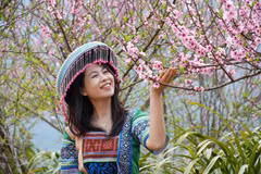 春满山坡：莱州新水湖社区旅游村迎来桃花盛景