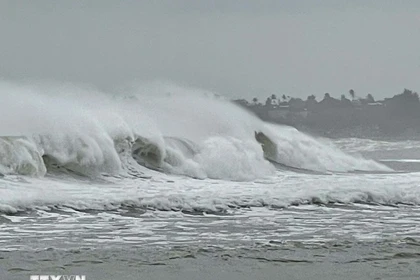 热带低压快速移动 预计11月25日晚进入东海