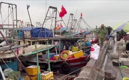 海防市与全国一道努力解除IUU“黄牌”警告