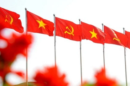 迈向越共十四大：越南迎难而上 国际地位持续增强