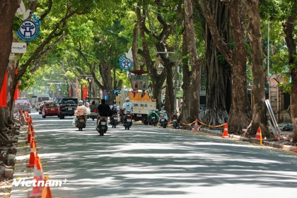 潘廷逢路人行道正加紧修整。图自越通社