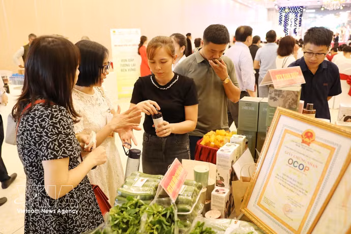 有机农业生产创造更加美好的未来。图自越通社