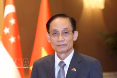 将意志转化为行动 进一步深化越新全面合作