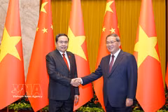 越南国会主席陈青敏与中国国务院总理李强。图自越通社