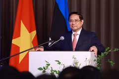 越南政府总理范明政出席了越爱亚企业座谈会并发表讲话。图自越通社