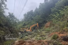 清化省暴雨洪水造成山区山体滑坡，导致道路中断。图自越通社