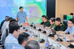 越南国家民事防护指导委员会、农业与环境部副部长阮煌协发表讲话。图自越通社