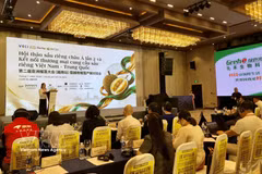 第二届亚洲榴莲研讨会暨越中榴莲供需对接会现场。图自越通社