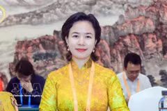 中国越南企业协会主席潘氏茶眉教授。图自越通社