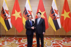 越南社会主义共和国国家主席梁强和文莱达鲁萨兰国苏丹哈吉·哈桑纳尔·博尔基亚·穆伊扎丁·瓦达乌拉。图自越通社