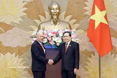 越南国会主席陈青敏和墨西哥劳动党总书记、参议员阿尔贝托·阿纳亚·古铁雷斯。图自越通社