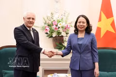 越共中央书记处书记、国家副主席武氏映春和阿根廷驻越南大使马科斯·安东尼奥·贝德纳尔斯基。图自越通社