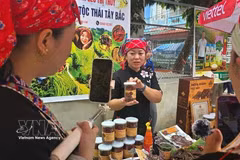 大力应用电商拓展少数民族地区特产市场。图自越通社