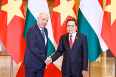越南国会主席陈青敏会见匈牙利总统舒尤克·道马什。图自越通社