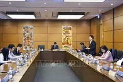 越南国会林同省和乂安省代表团在小组讨论会上发言。图自越通社