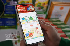 附图。图自越通社