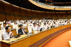 国会表决通过多项重要法律和决议。图自越通社