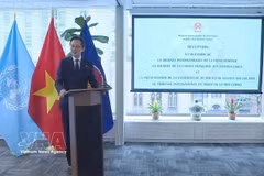 越南常驻联合国代表团团长杜雄越大使在活动上致辞。图自越通社