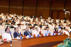 全国学习贯彻落实第10号决议会议召开。图自越通社