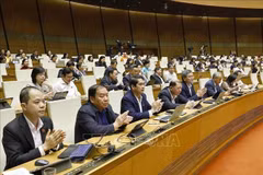 国会代表通过嘉平国际机场及荣市-清水高速公路项目投资主张。图自越通社