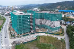 6月份居民消费价格指数（CPI）环比下降0.39%。图自Vietnam+