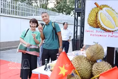 游客与越南榴莲合影打卡。图自越通社