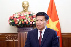 越共中央委员、外交部党委常务副书记、外交部副部长阮孟强。图自越通社