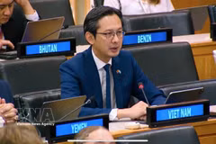 越南常驻联合国代表团团长杜雄越大使。图自越通社