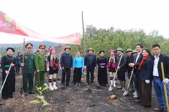 全国各地纷纷举行2025年新春植树节启动仪式。图自VOV