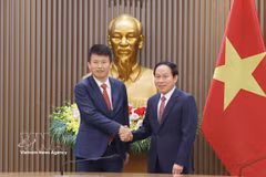 越南政府副总理黎进朱与香港大学（HKU）经济及工商管理学院院长蔡洪滨。图自越通社