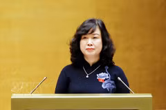 越南国会听取卫生部长陶红兰。图自越通社