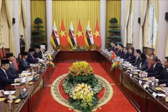 会谈现场。图自越通社