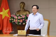胡国勇副总理发表讲话。图自越通社
