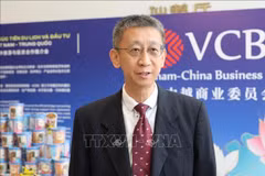 华设设计集团有限公司副总裁范东涛。图自越通社
