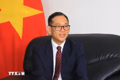 越南与阿尔及利亚关系发展潜力巨大
