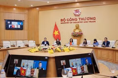 工贸部副部长潘氏胜与阿根廷外交、外贸和宗教部负责国际经济关系事务的国务秘书费尔南多·布伦举行了在线会议。图自工贸部