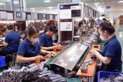 8月前15天，计算机、电子产品及零部件达73.2亿美元。图自越通社