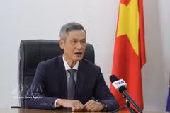 越南驻柬埔寨特命全权大使阮明羽接受越通社采访。图自越通社