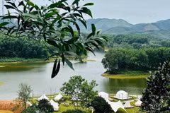 游客来到差茶丘湖可以乘船环湖游览，登岛探访，还能参观一望无际的绿色茶山。图自VOV